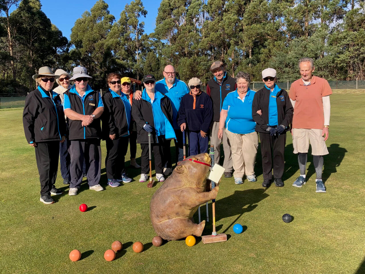 ns team with wombat